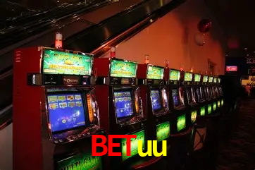 Descubra a Essência do betuu: Nossa História e Compromissos