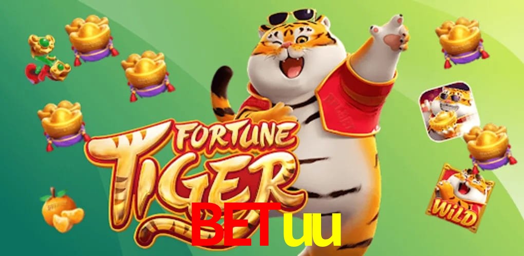 Experiência VIP betuu